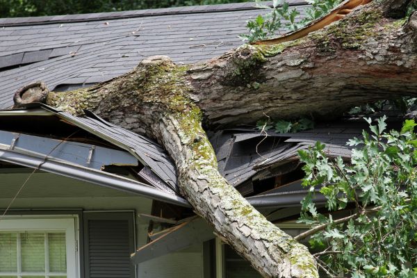 Storm Remediation in Ponte Vedra Beach