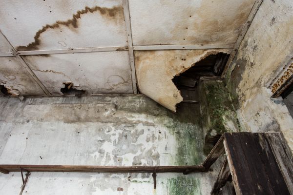 Water Damage Service in Ponte Vedra Beach