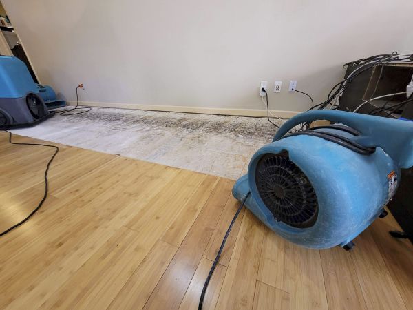 Water Damage Mitigation in Ponte Vedra Beach