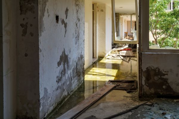 Water Removal Service in Ponte Vedra Beach