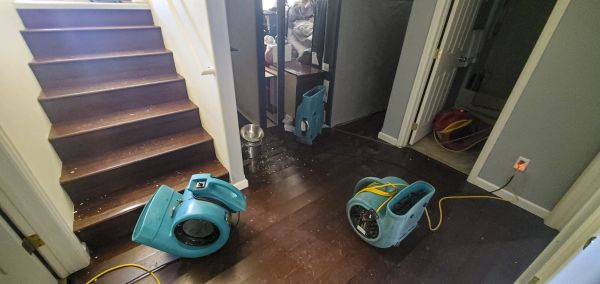 Water Damage Remediation in Ponte Vedra Beach
