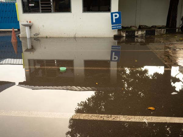 Storm Damage Repair in Ponte Vedra Beach