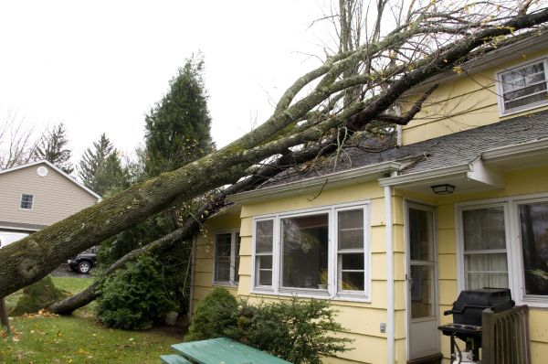 Hurricane Damage Repair in Ponte Vedra Beach